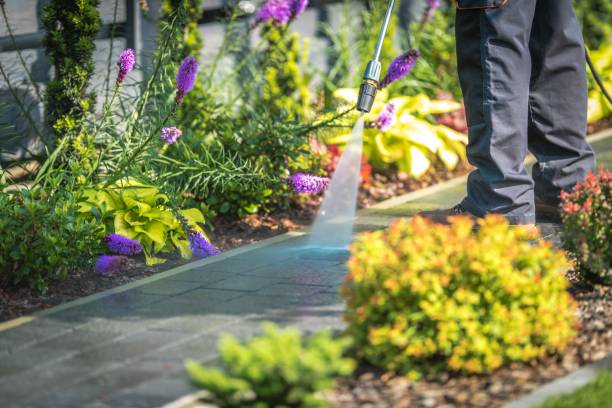 Best Residential Pressure Washing in Buffalo, MN