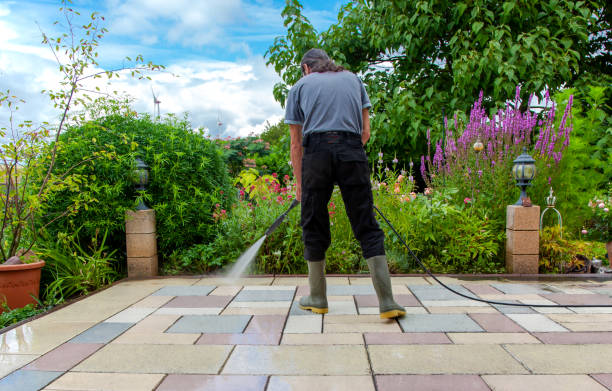 Best Gutter Cleaning and Brightening in Buffalo, MN