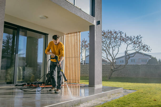 Best Roof Cleaning and Mildew Removal in Buffalo, MN